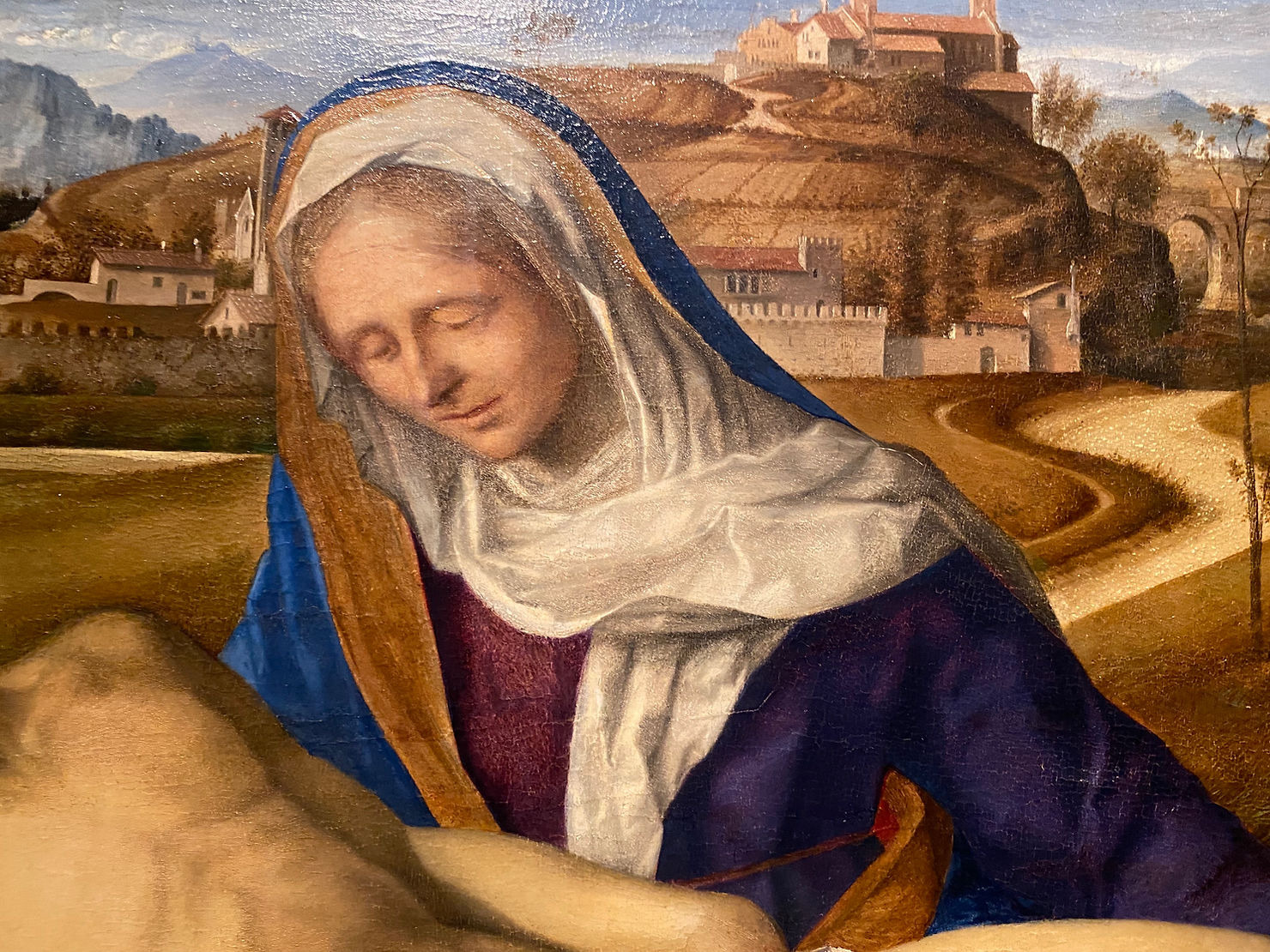 Giovanni Bellini, Pietà (1505 ca.), Olio su tavola, cm 65x87, Gallerie dell'Accademia, Venezia.