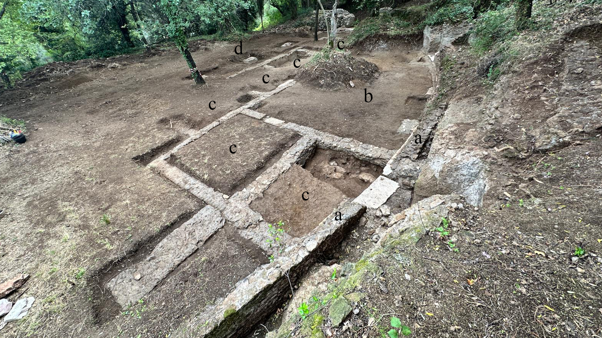  Struttura ellittica (a) all’interno della quale sono emersi i resti di un edificio con una grande aula
rettangolare (b) circondata da stanze quadrate (c) affacciate su un terrazzo sostenuto da pilastri (d).