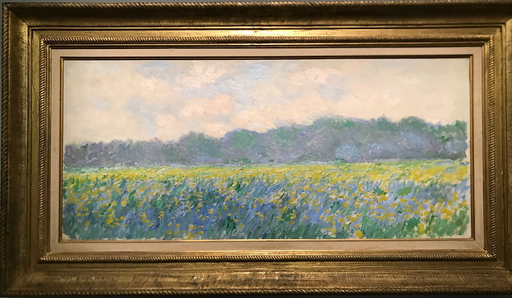 Claude Monet "Campo di Iris a Giverny" Trieste Museo Revoltella.